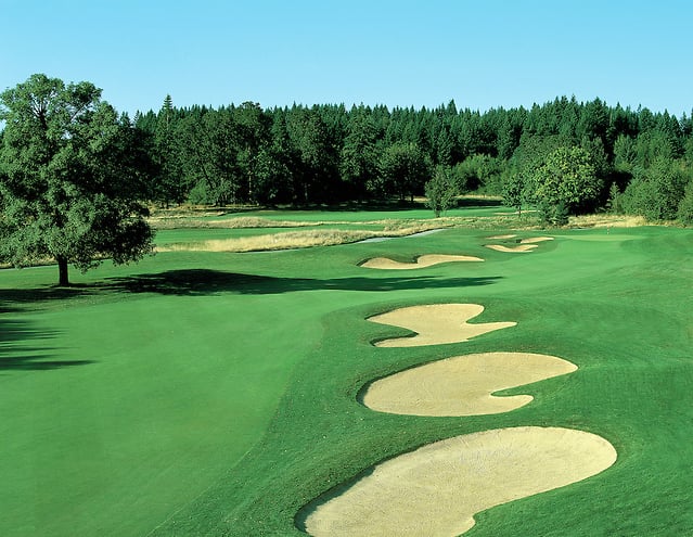  Pumpkin Ridge Golf Club 