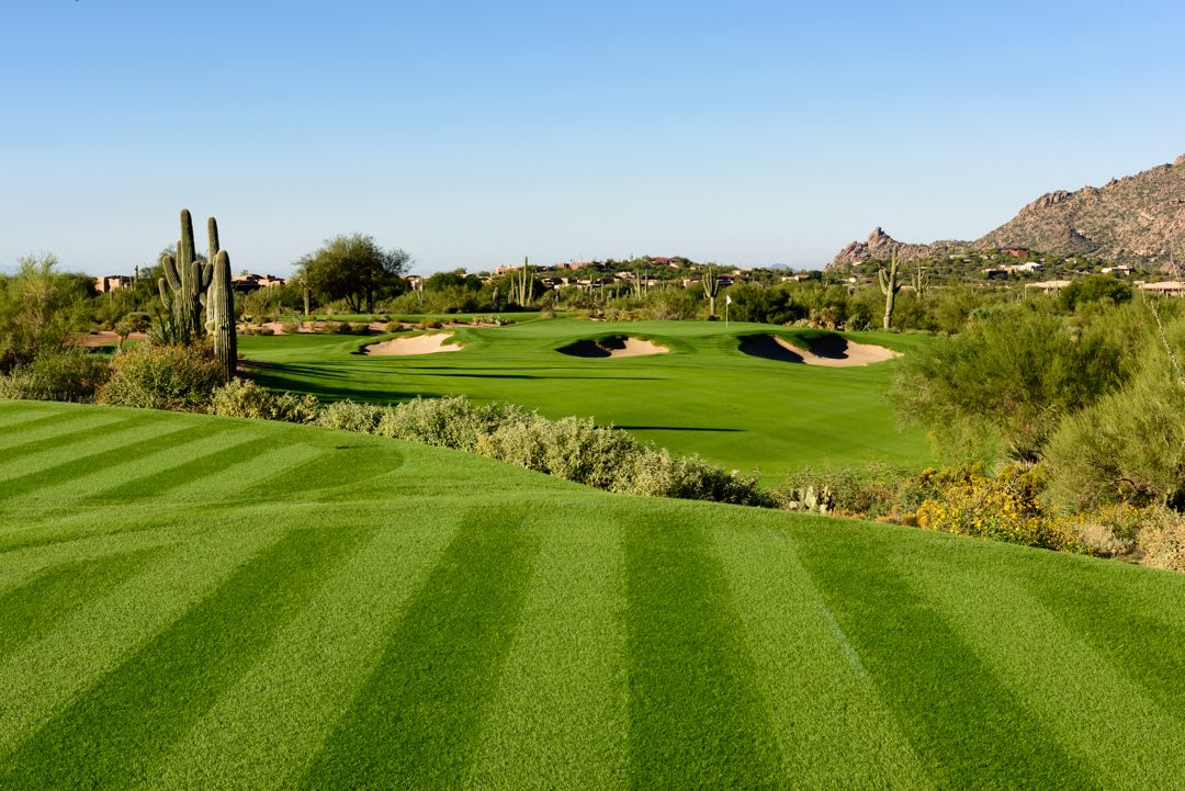  Desert Forest Golf Club 