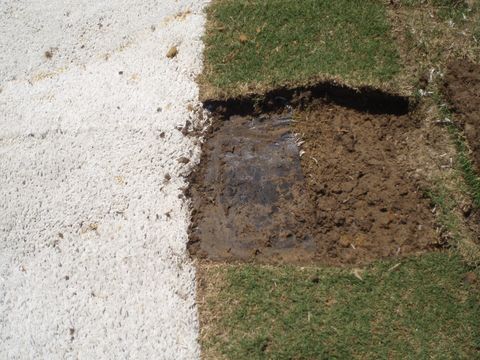  River Oaks lipanchor 